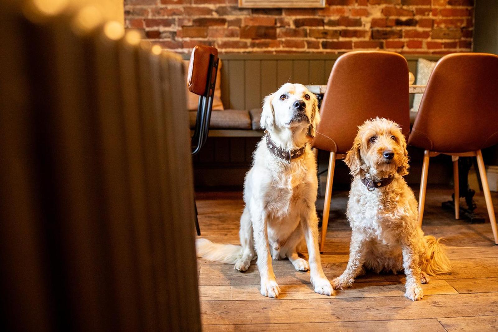 The Boot Inn Burton-upon-Trent Extérieur photo